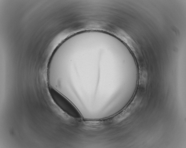 X0000112431342200909251529