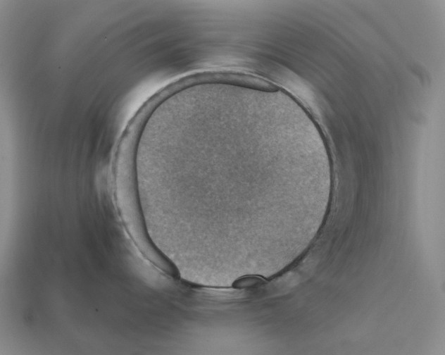 X0000112431344200909251529