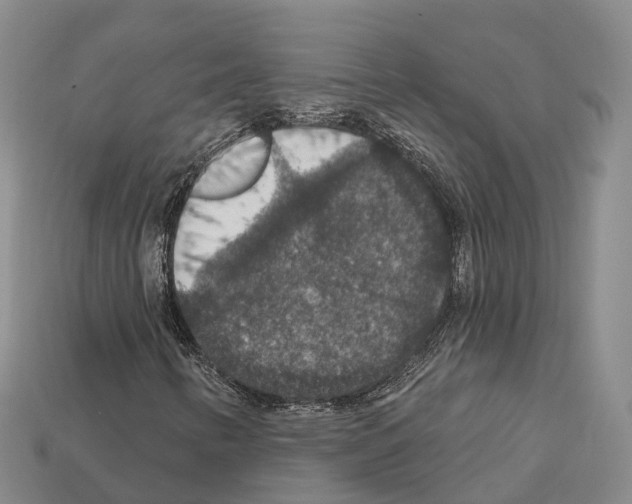 X0000112431346200909251528
