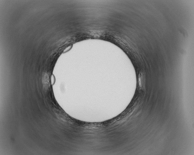 X0000112431347200909251528