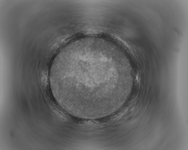 X0000112431348200909251528