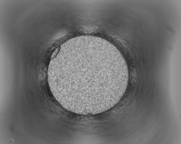 X0000112431349200909251528