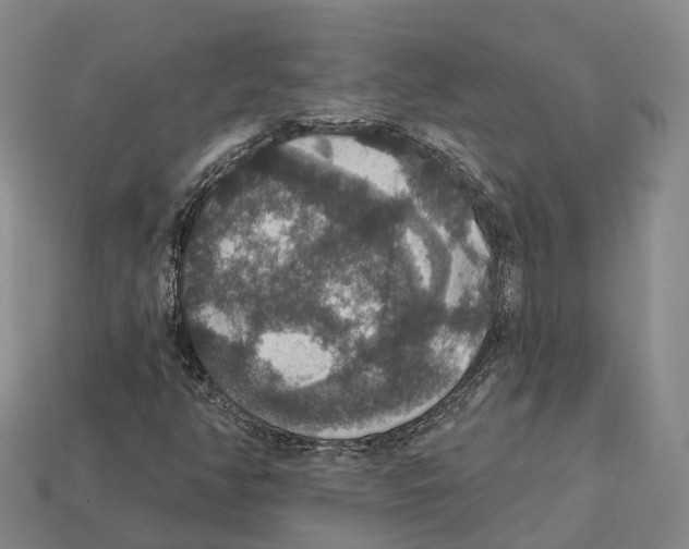 X0000112431350200909251528