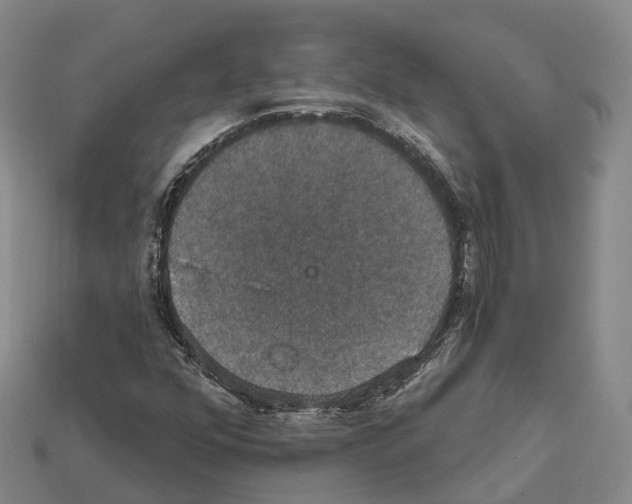 X0000112431352200909251528
