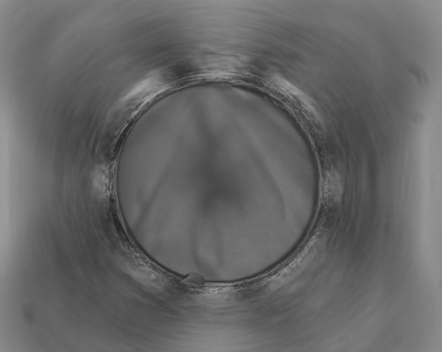 X0000112431353200909251528