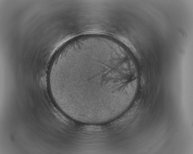 X0000112431356200909251528