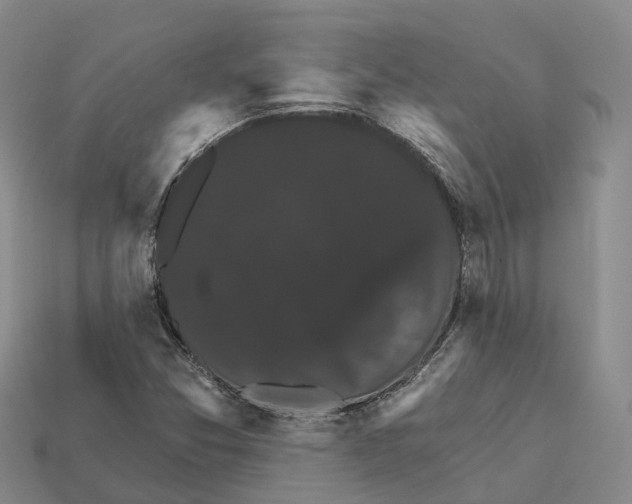 X0000112431357200909251528