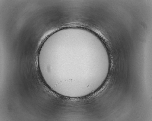 X0000112431358200909251528