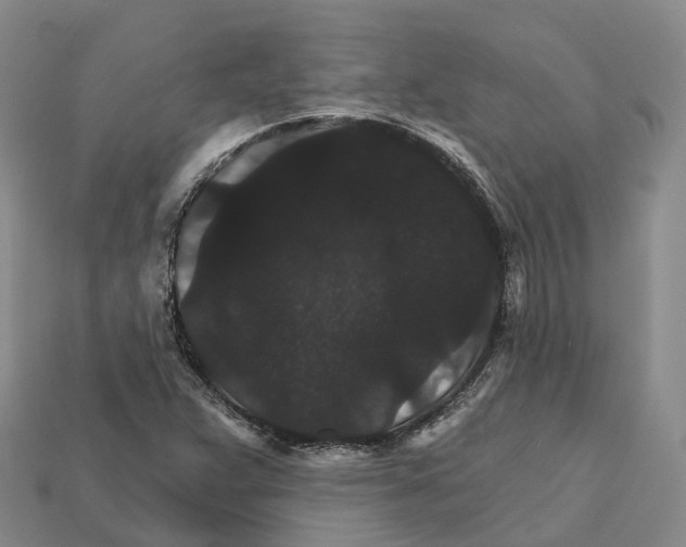 X0000112431359200909251528