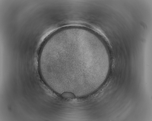 X0000112431360200909251528