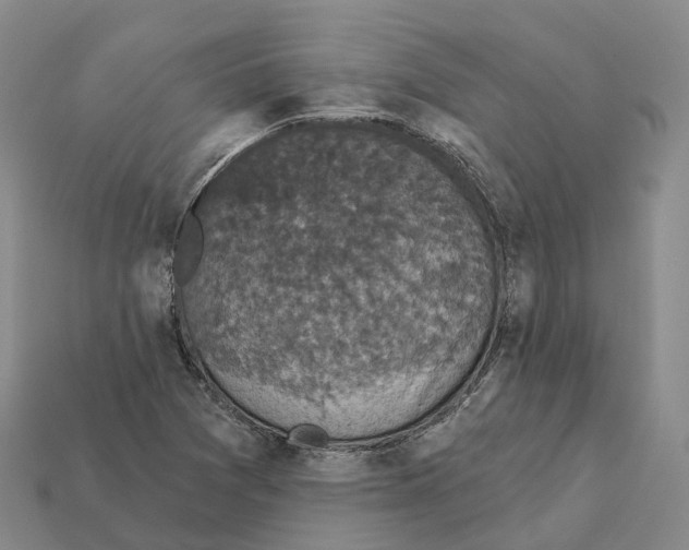 X0000112431361200909251528