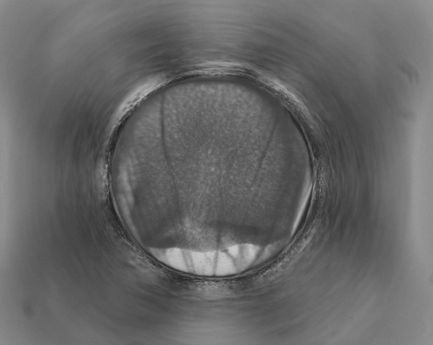 X0000112431362200909251528