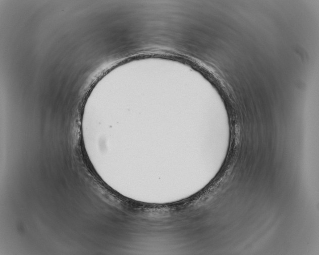 X0000112431363200909251528