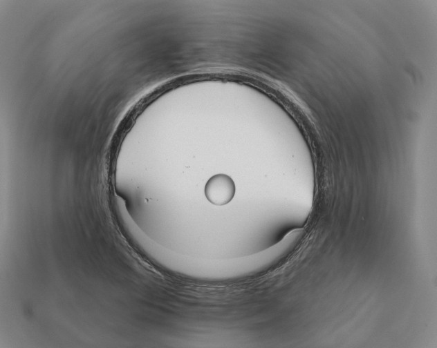 X0000112431364200909251528
