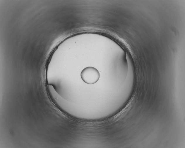 X0000112431365200909251528