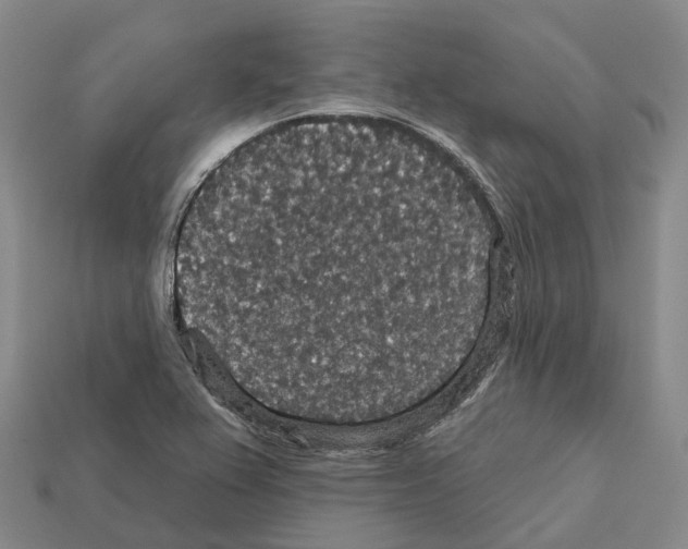 X0000112431367200909251528
