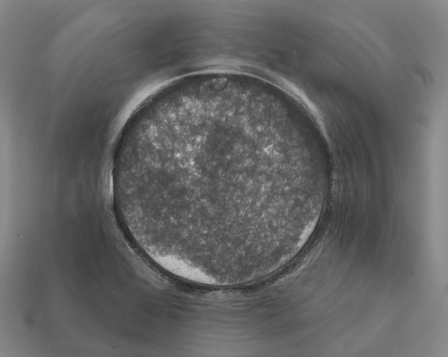 X0000112431368200909251528