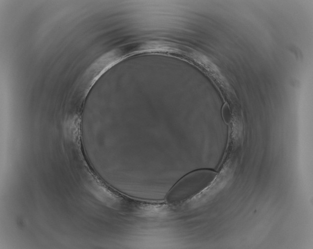 X0000112431369200909251528