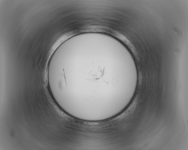 X0000112431370200909251528