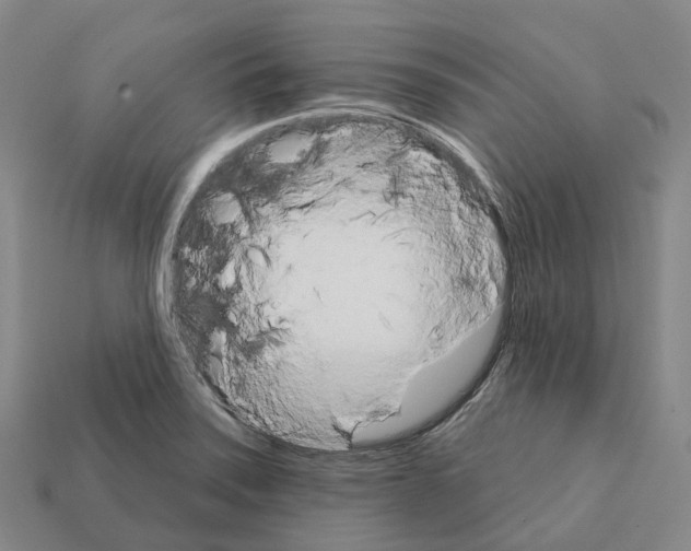 X0000112431371200909251528