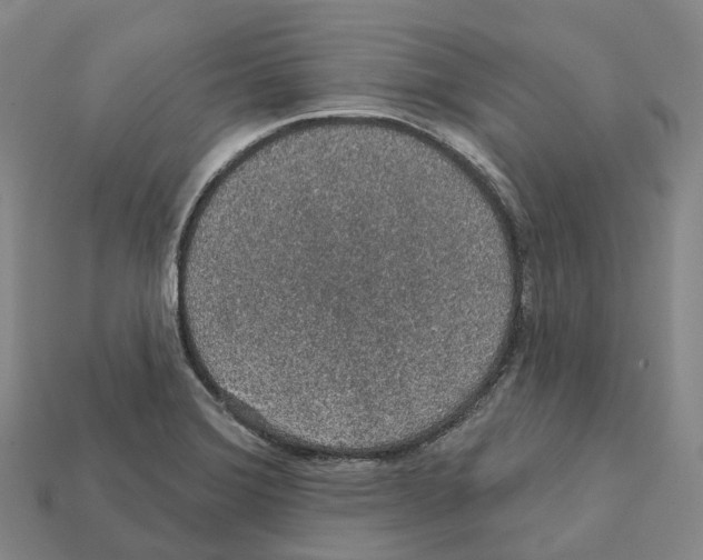 X0000112431372200909251528