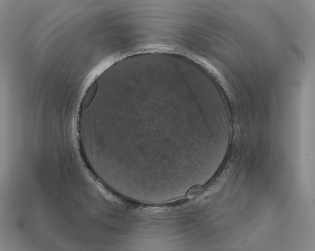 X0000112431373200909251528