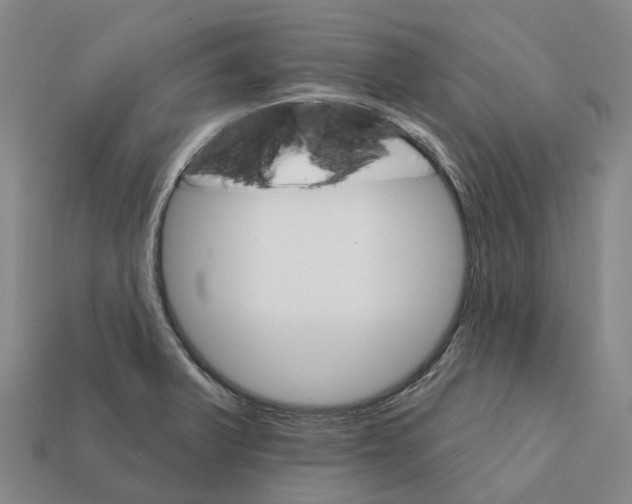 X0000112431375200909251528