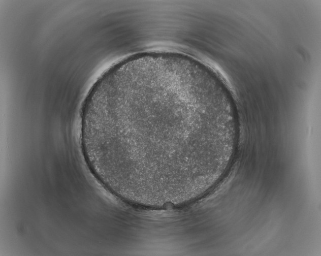X0000112431376200909251528