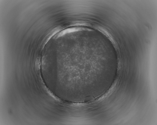 X0000112431377200909251528