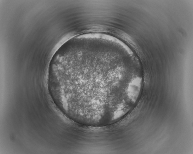 X0000112431378200909251528