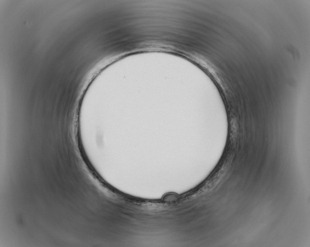 X0000112431379200909251528