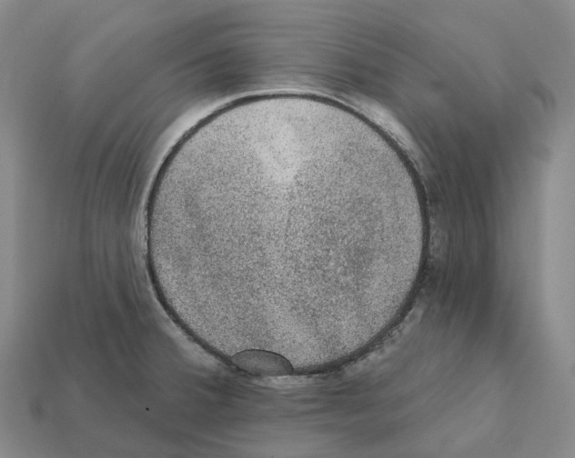 X0000112431380200909251528