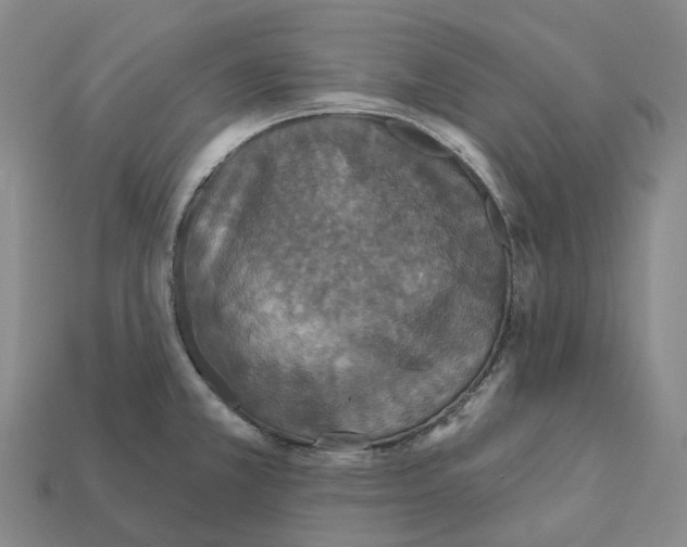 X0000112431381200909251528