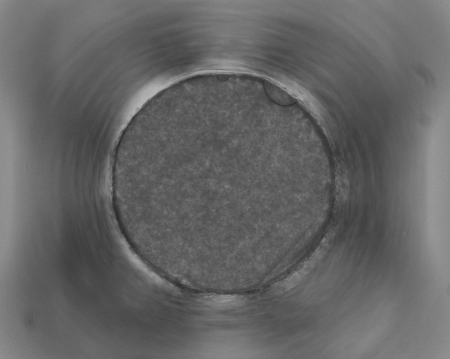 X0000112431382200909251528