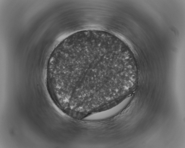 X0000112431383200909251528