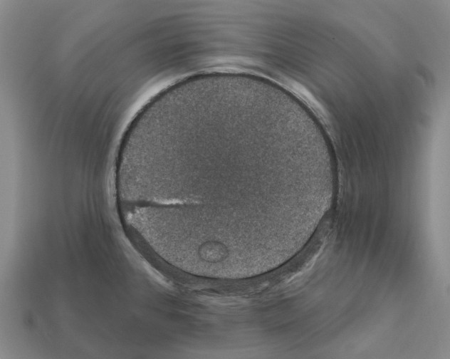 X0000112431384200909251528