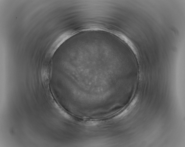 X0000112431385200909251528