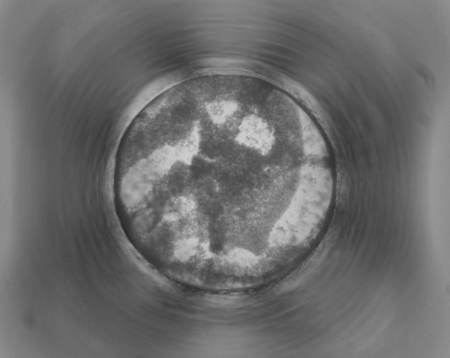 X0000112431386200909251528