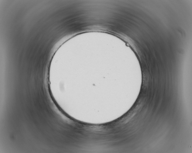 X0000112431387200909251528