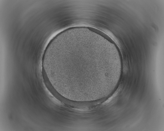 X0000112431388200909251528