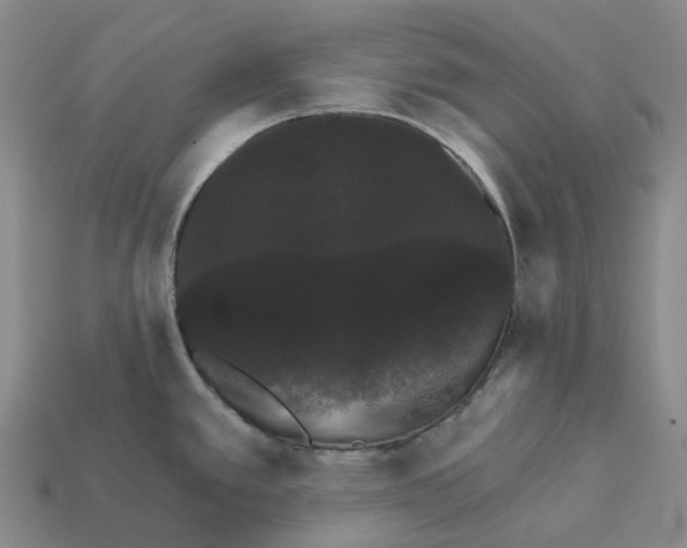 X0000112431389200909251528