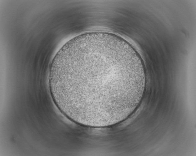 X0000112431390200909251528