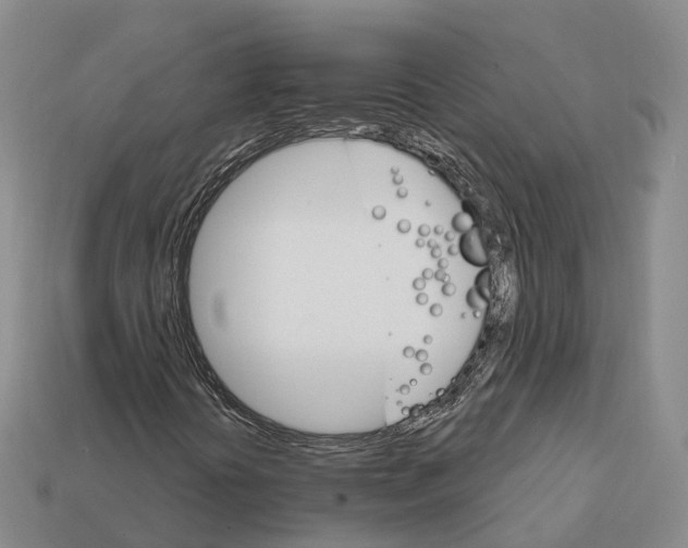 X0000112431394200909251527