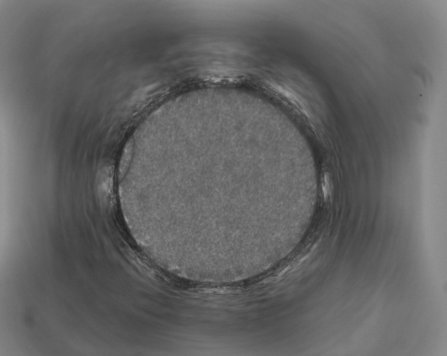 X0000112431396200909251527