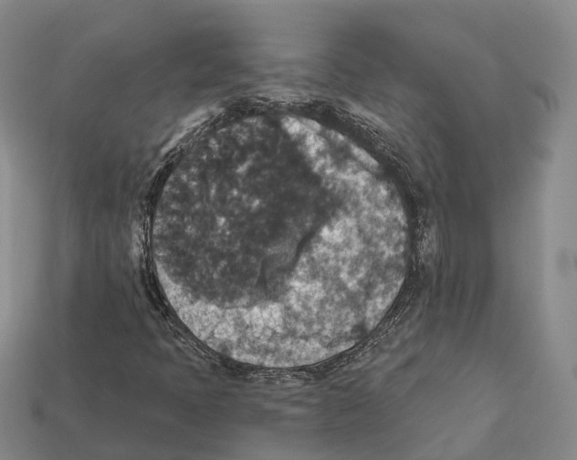 X0000112431397200909251527