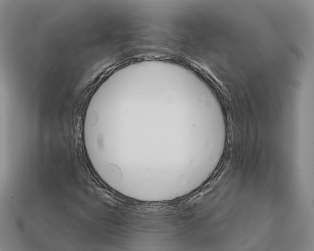 X0000112431399200909251527