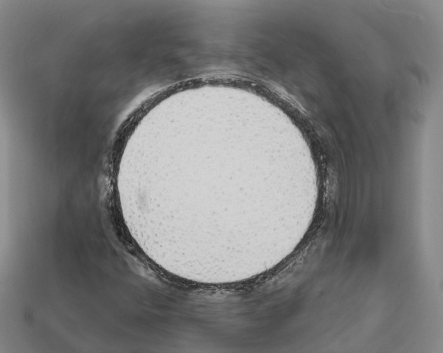 X0000112431400200909251527