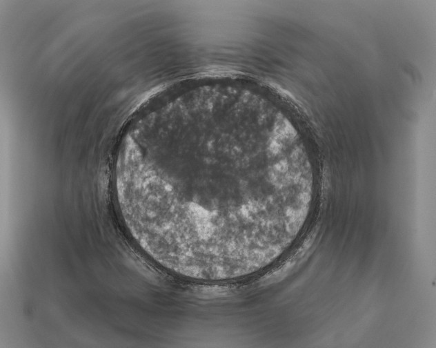 X0000112431401200909251527