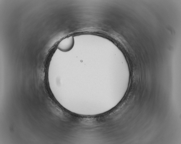 X0000112431406200909251527