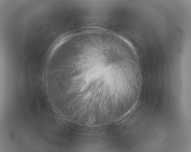 X0000112431407200909251527